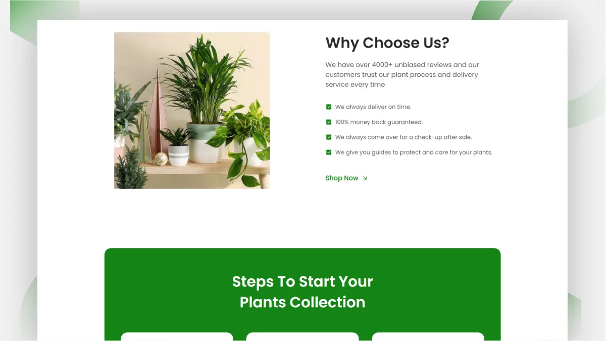Plant Store 3