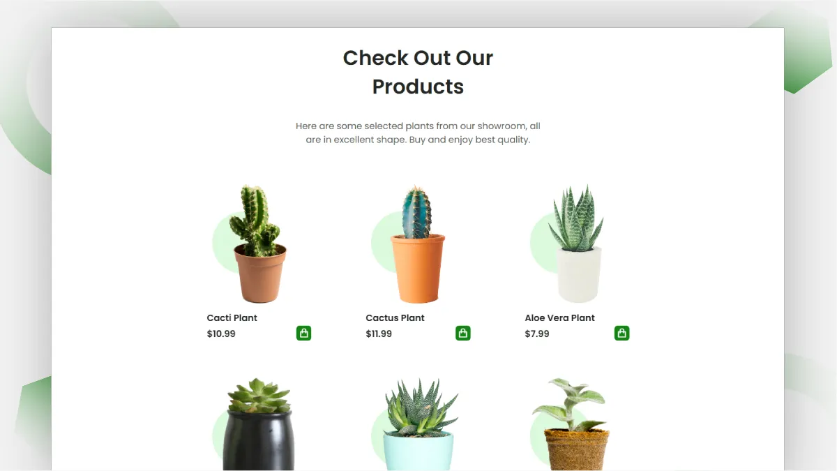 Plant Store 4